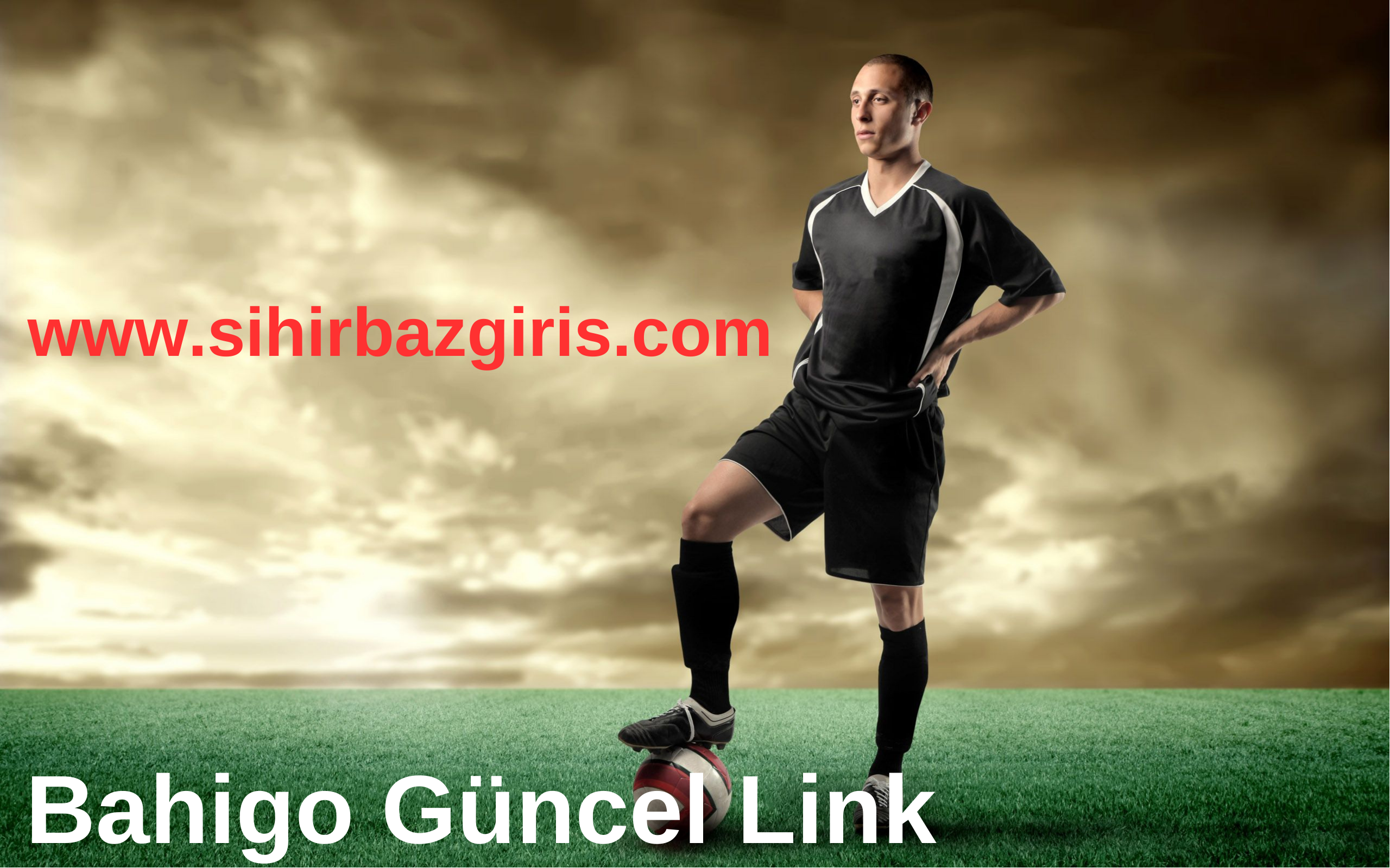 Bahigo Güncel Link